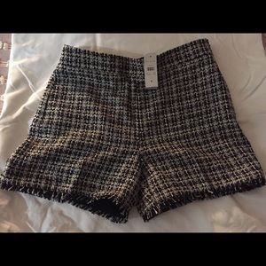 🔥🔥🔥Ann Taylor Tweed Shorts